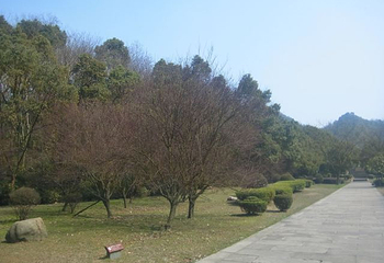 会稽山第 35 张图片