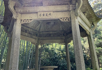 会稽山第 39 张图片