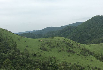大容山国家森林公园第 32 张图片