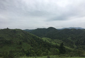 大容山国家森林公园第 31 张图片