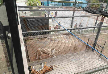 永记生态园第 26 张图片