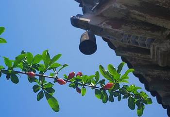 如皋古城-定慧禅寺第 25 张图片