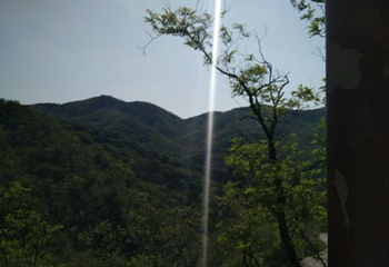 鹤伴山旅游景区第 33 张图片