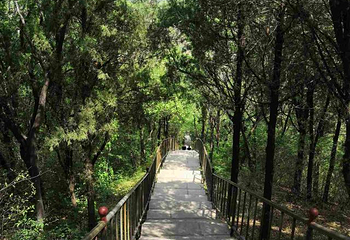 鹤伴山旅游景区第 34 张图片