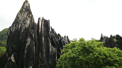 玉石林风景区第 59 张图片