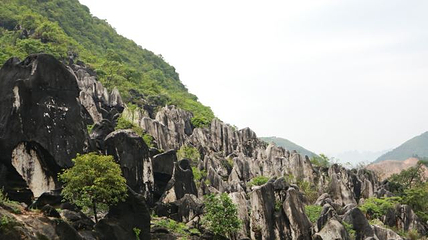 玉石林风景区第 57 张图片