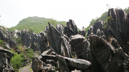 玉石林风景区第 56 张图片