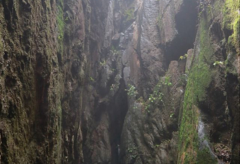 玉石林风景区第 54 张图片
