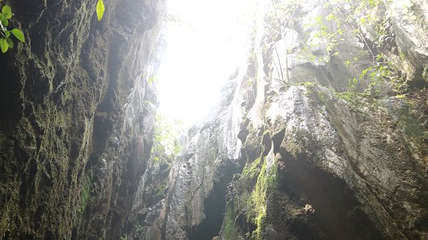 玉石林风景区第 52 张图片