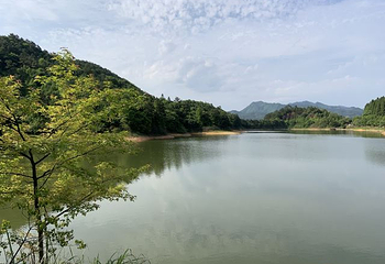 千岛湖龙川湾第 36 张图片