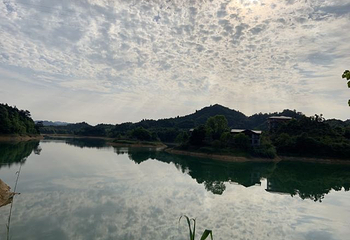 千岛湖龙川湾第 32 张图片