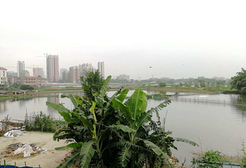 江门古劳水乡旅游区第 85 张图片