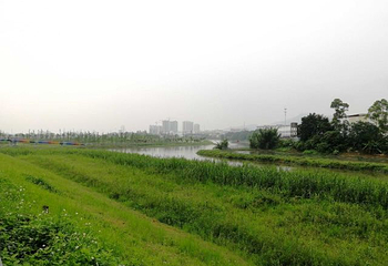 江门古劳水乡旅游区第 84 张图片