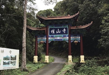 新丰江国家森林公园桂山风景区第 55 张图片