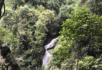 新丰江国家森林公园桂山风景区第 54 张图片