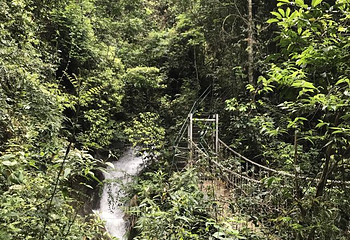 新丰江国家森林公园桂山风景区第 53 张图片