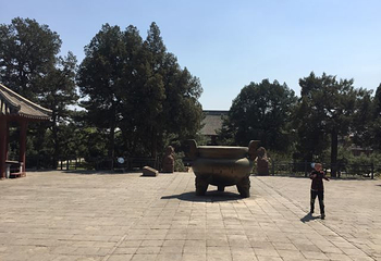 奉国寺第 77 张图片