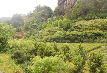东西岩景区第 34 张图片