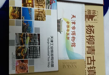 杨柳青古镇第 40 张图片