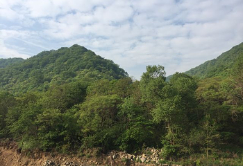 甘山国家森林公园第 16 张图片