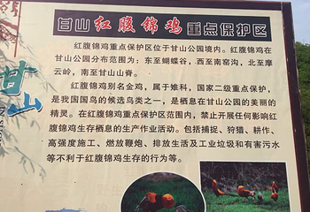 甘山国家森林公园第 15 张图片