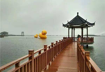 焦岗湖国家湿地公园第 45 张图片