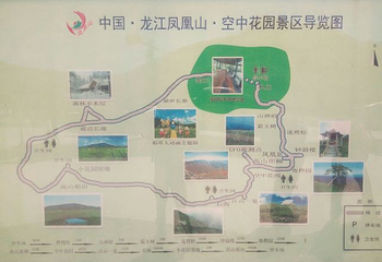 凤凰山国家森林公园第 85 张图片