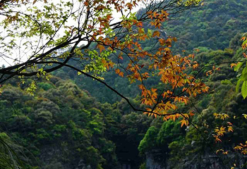 青云山第 37 张图片