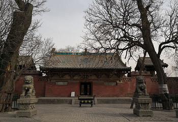 镇国寺第 96 张图片