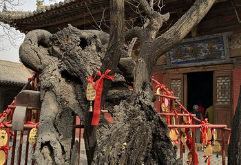 镇国寺第 94 张图片