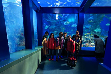 鸟羽水族馆第 3 张图片