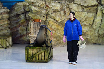 鸟羽水族馆第 2 张图片