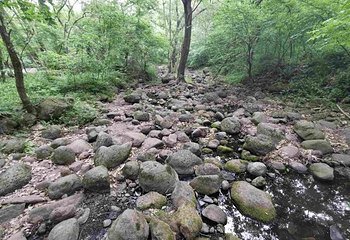 铁山寺国家森林公园第 89 张图片