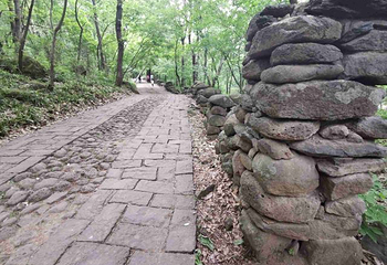 铁山寺国家森林公园第 87 张图片