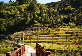 福安白云山第 35 张图片