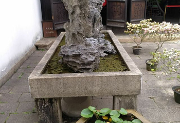 方塔园第 37 张图片