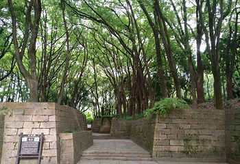方塔园第 31 张图片