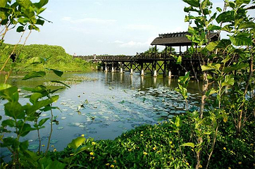 海上田园第 61 张图片
