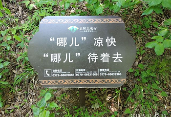 天河大峡谷第 39 张图片