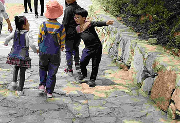 蟒河生态旅游区第 49 张图片