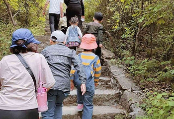 蟒河生态旅游区第 44 张图片