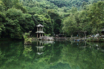 野趣沟第 26 张图片