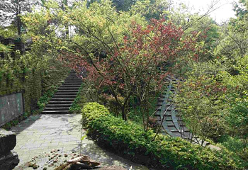 鸳鸯湖公园第 8 张图片