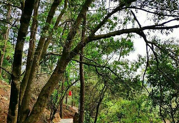 六君岩风景区第 18 张图片