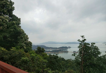 万绿湖•镜花缘游览区第 66 张图片