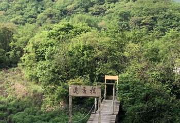 甘山国家森林公园第 13 张图片