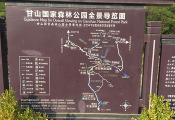 甘山国家森林公园第 11 张图片