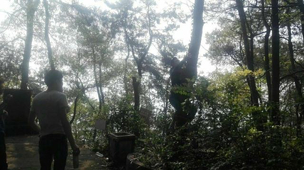 歌乐山国家森林公园第 99 张图片