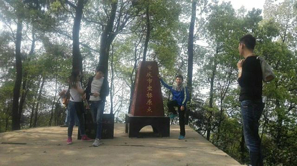歌乐山国家森林公园第 97 张图片