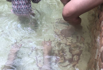 郑州江南春温泉第 173 张图片